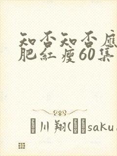 知否知否应是绿肥红瘦60集封面
