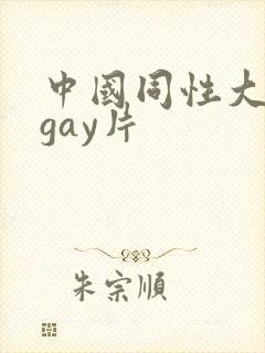 中国同性大尺度gay片