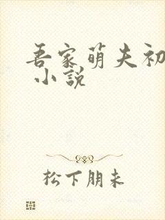 吾家萌夫初养成 小说封面