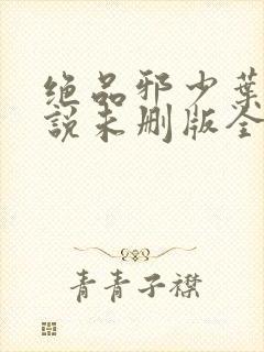 绝品邪少叶潇小说未删版全集
