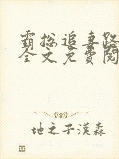霸总追妻路漫漫全文免费阅读封面