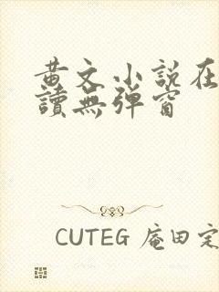 黄文小说在线阅读无弹窗