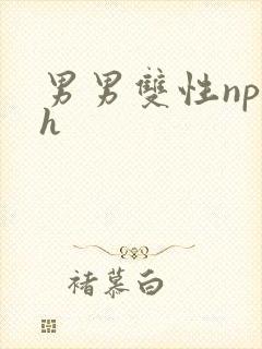 男男双性np高h封面