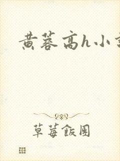 黄蓉高h小说封面