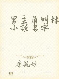 男主角叫林青的小说名字