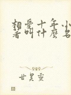 相爱十年小说原著叫什么名字