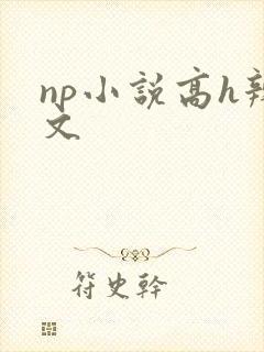 np小说高h辣文封面