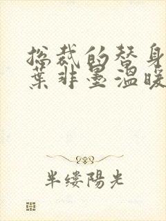 总裁的替身前妻叶非墨温暖