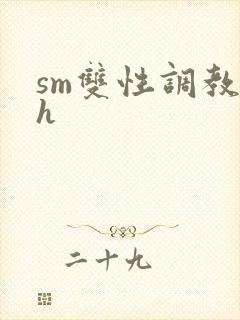 sm双性调教高h