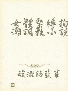 女体紧缚拘束高潮调教小说