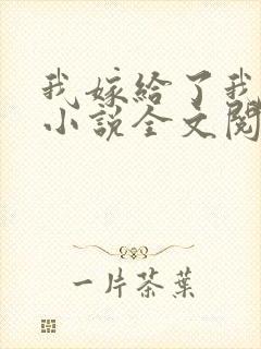 我嫁给了我儿子小说全文阅读