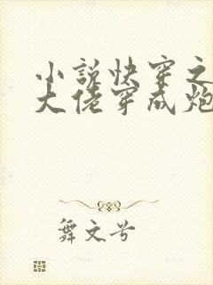 小说快穿之满级大佬穿成炮灰后