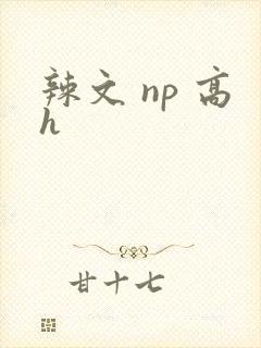 辣文 np 高h