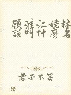 顾淮江娆林澈小说叫什么名字