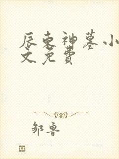 辰东神墓小说全文免费