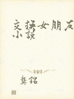交换女朋友做爰小说封面