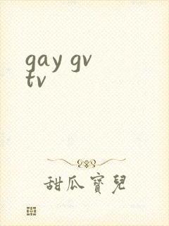 gay gv tv封面