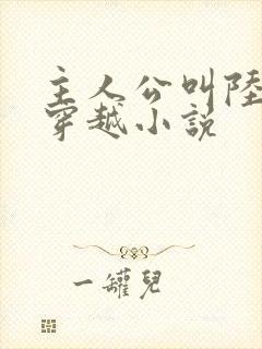主人公叫陆羽的穿越小说
