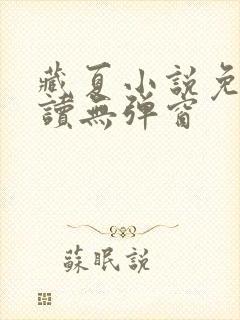 藏夏小说免费阅读无弹窗封面