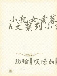 小龙女黄蓉高辣h文系列小说介绍