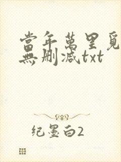当年万里觅封侯无删减txt