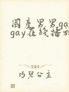 国产男男gaygay在线播放
