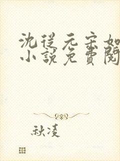 沈从元宋如嫣的小说免费阅读封面