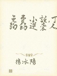 免费小说,丁二狗的逆袭人生