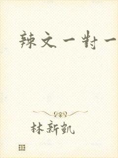辣文一对一高h
