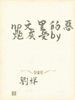 np文里的恶毒炮灰受by