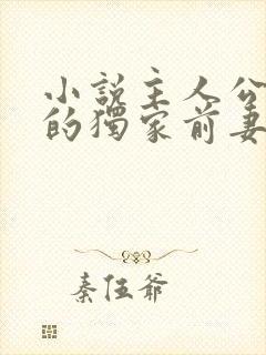 小说主人公秦少的独家前妻免费阅读
