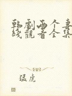 韩剧两个妻子在线观看全集免费