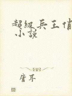 超级兵王俏总裁 小说