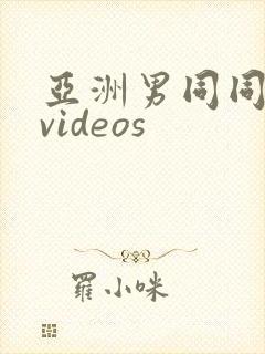 亚洲男同同性恋videos封面