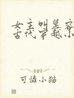 女主叫慕容雪的古代穿越小说封面