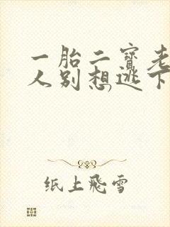 一胎二宝老婆大人别想逃下载