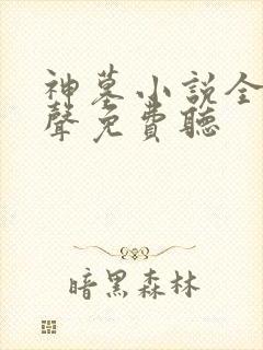 神墓小说全集有声免费听