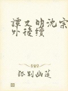 谭又明沈宗年番外后续封面