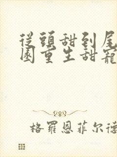 从头甜到尾的校园重生甜宠文