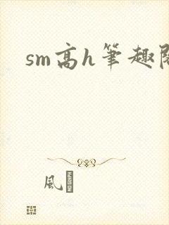 sm高h笔趣阁封面