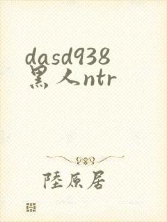 dasd938黑人ntr封面