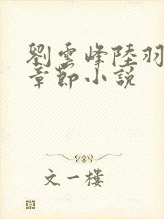 刘云峰陆羽最新章节小说