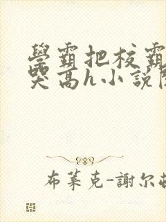 学霸把校霸c到哭高h小说阅读