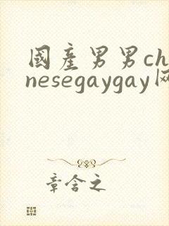 国产男男chinesegaygay网站