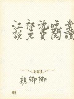 江祁沈晚棠的小说免费阅读封面