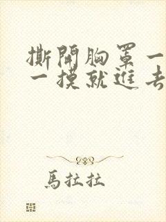 撕开胸罩一边亲一摸就进去视频
