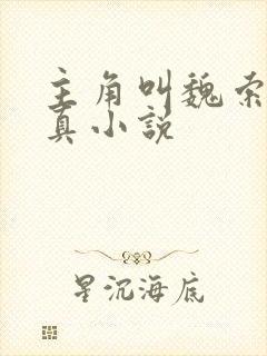 主角叫魏索的修真小说封面