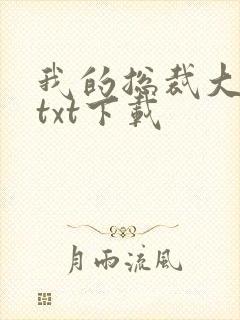 我的总裁大老婆txt下载封面