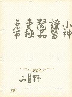 免费阅读小说都市极品医神全文