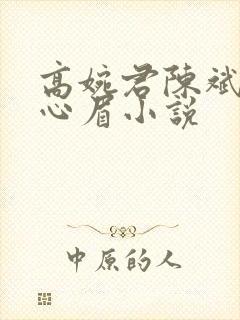 高婉君陈斌和赵心眉小说